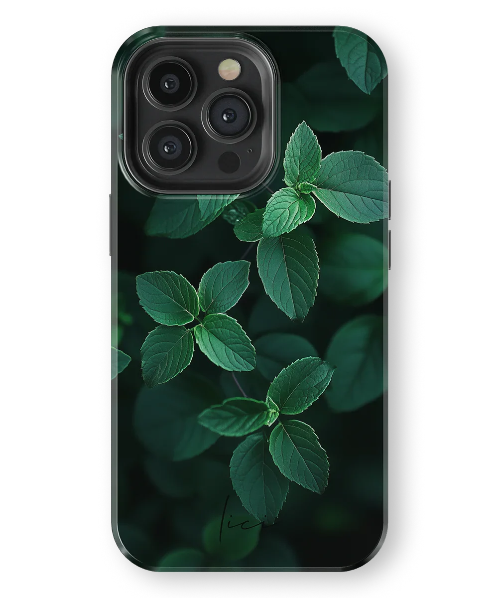 Minz-Klassik - iPhone 13 Pro