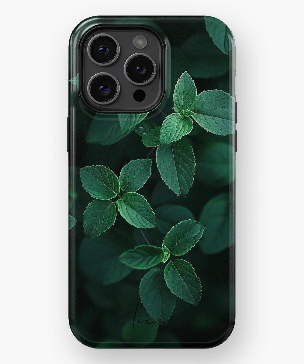 Minz-Klassik - iPhone 15 Pro Max