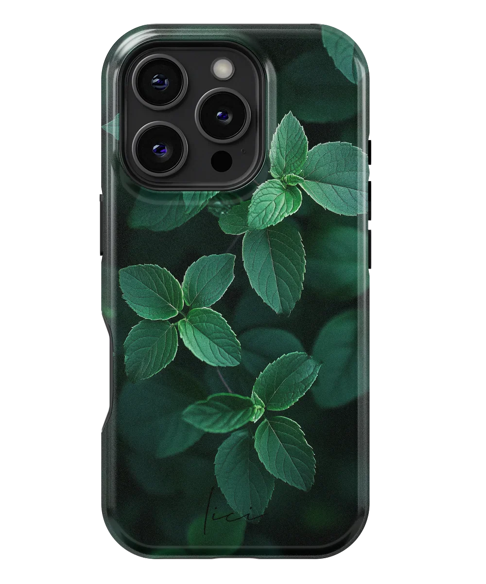 Minz-Klassik - iPhone 16 Pro