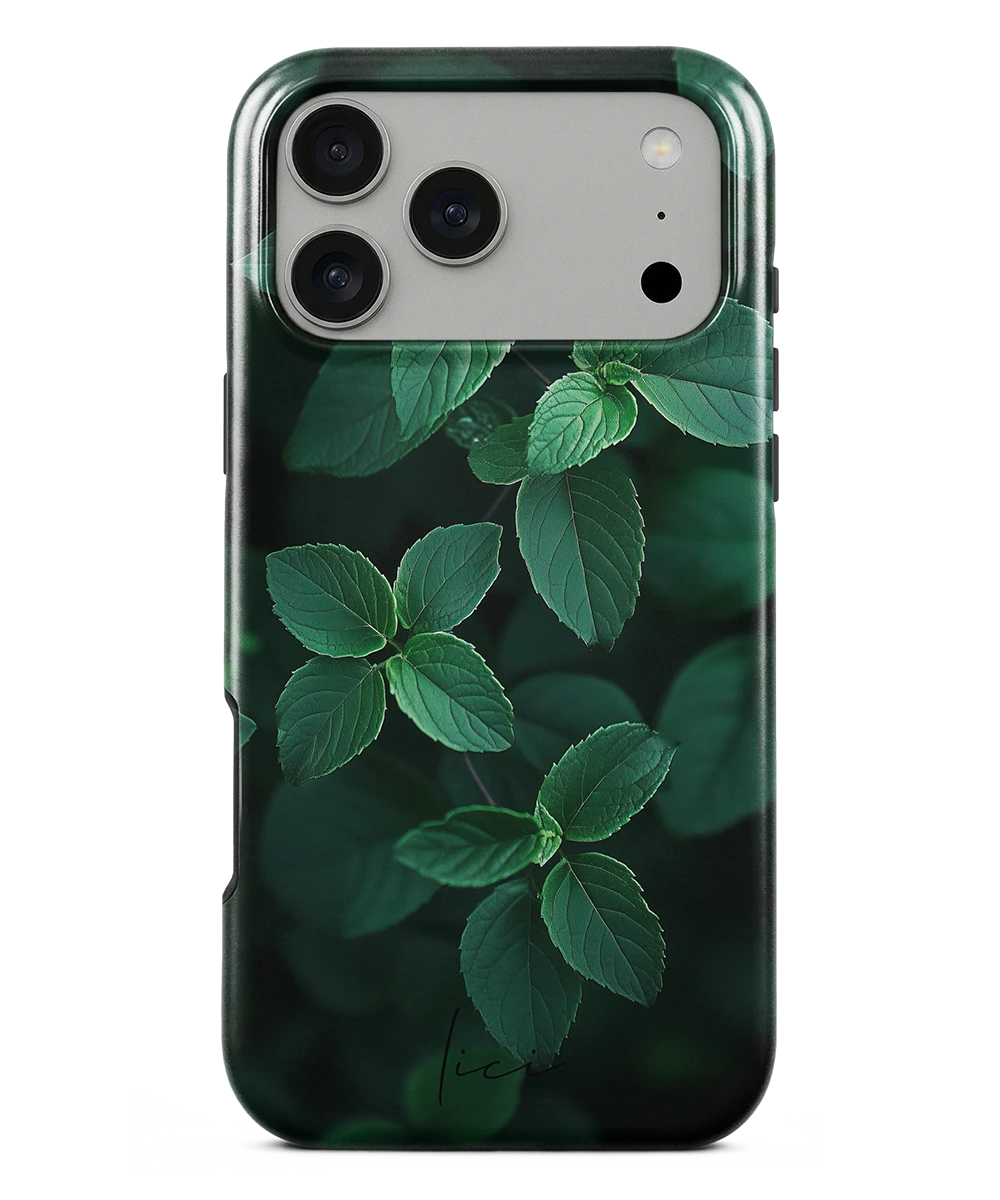 Minz-Klassik - iPhone 17 Pro Max