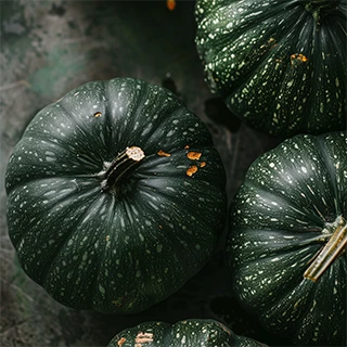 pumpkin_season