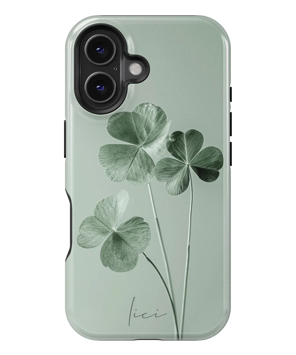 Суть Фортуни - iPhone 16