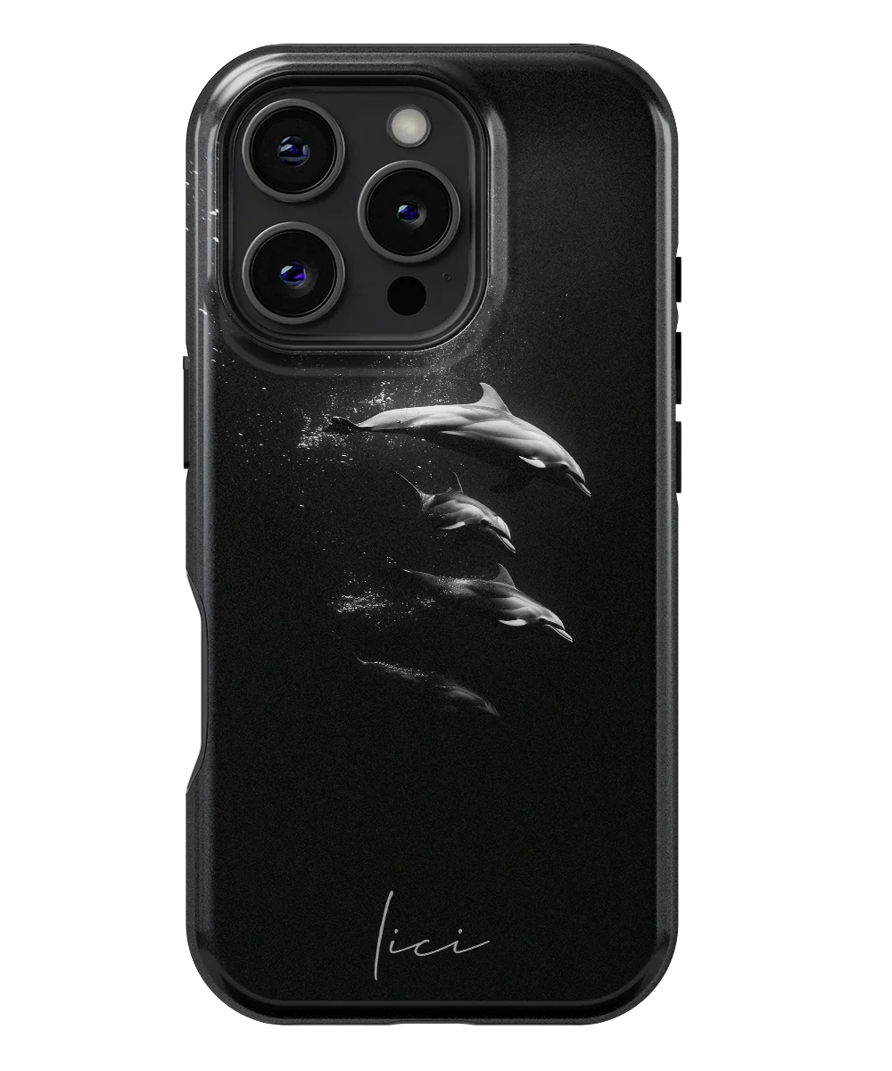 Dolphins - iPhone 16 Pro