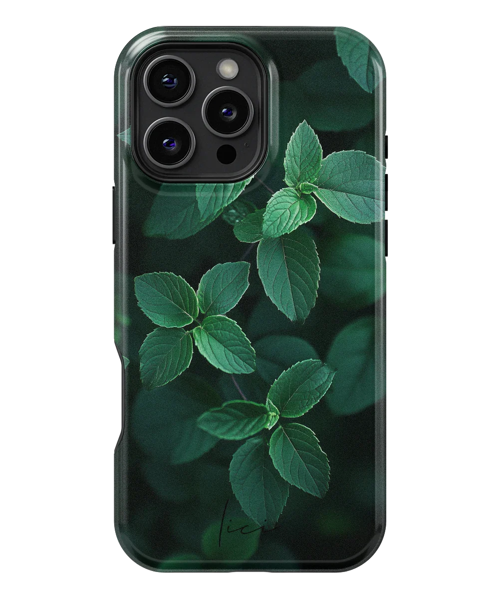 Original Mint - iPhone 16 Pro Max