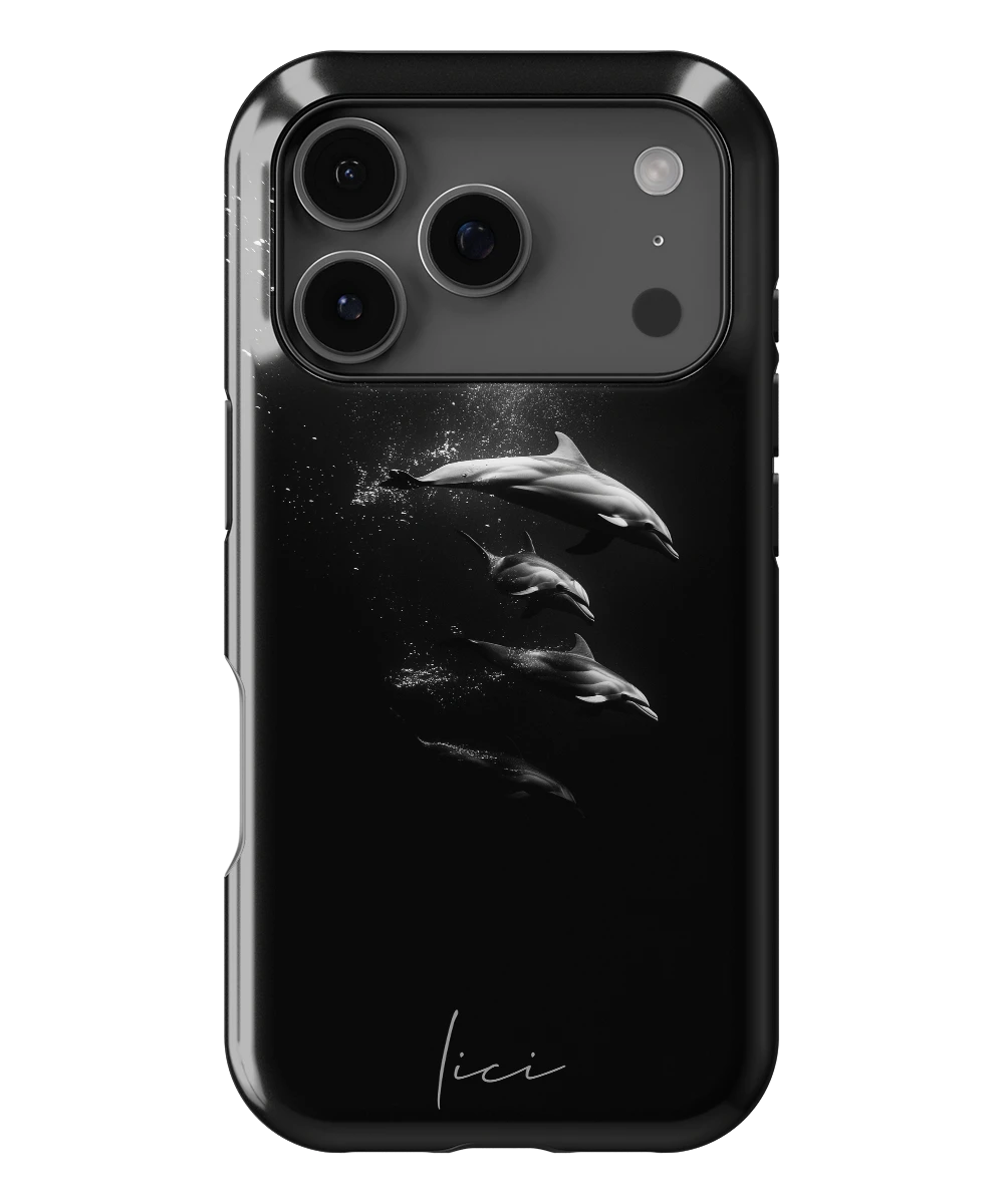 Dolphins - iPhone 17 Pro