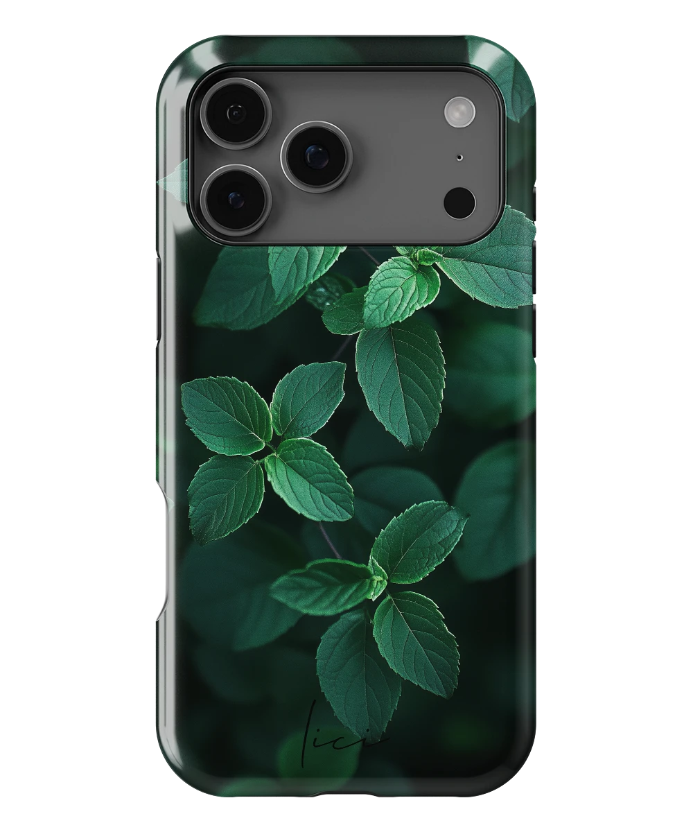Original Mint - iPhone 17 Pro Max